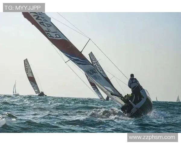 张帆：在风浪中乘风破浪的勇者与梦想追逐者的故事