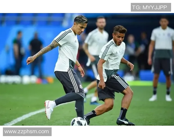 艾梅莱克与飓风的激烈对决谁能在这场比赛中笑到最后