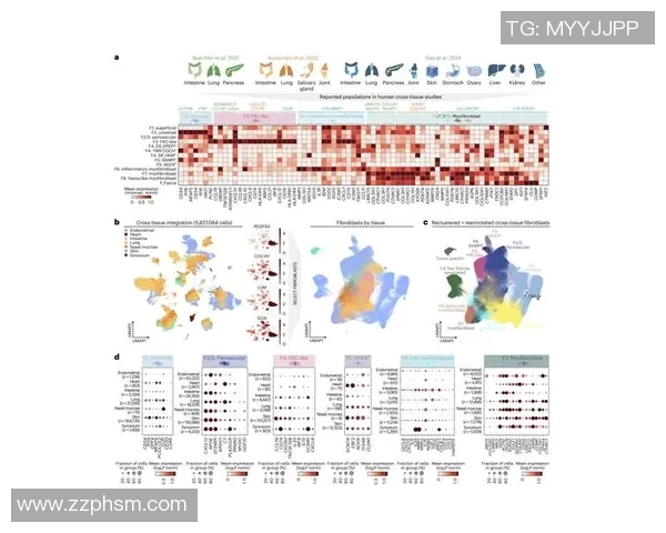 探索丹皮尔的魅力与历史深度揭示这座城市的文化与风景之美